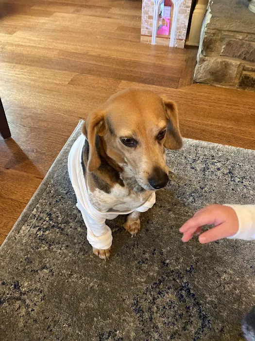 Germantown Animal Hospital 9