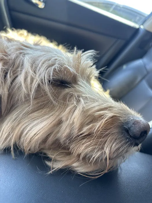 Germantown Animal Hospital 8