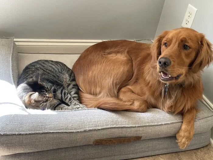 Forest Hill Animal Hospital 1