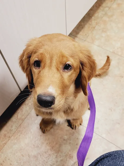 Forest Hill Animal Hospital 8