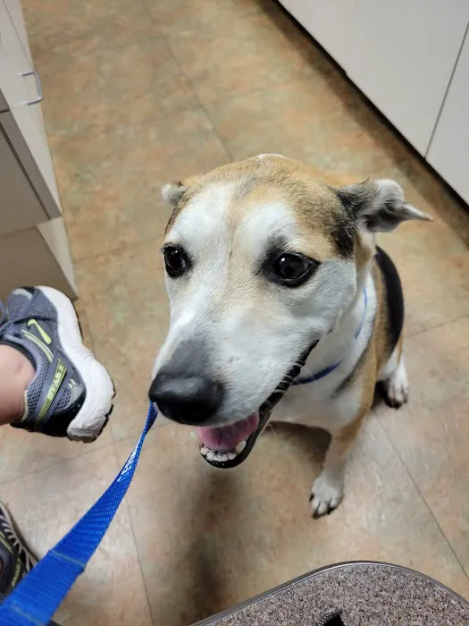 Forest Hill Animal Hospital 7