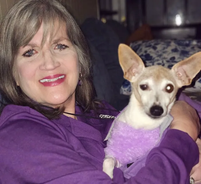 County Seat Animal Hospital 6