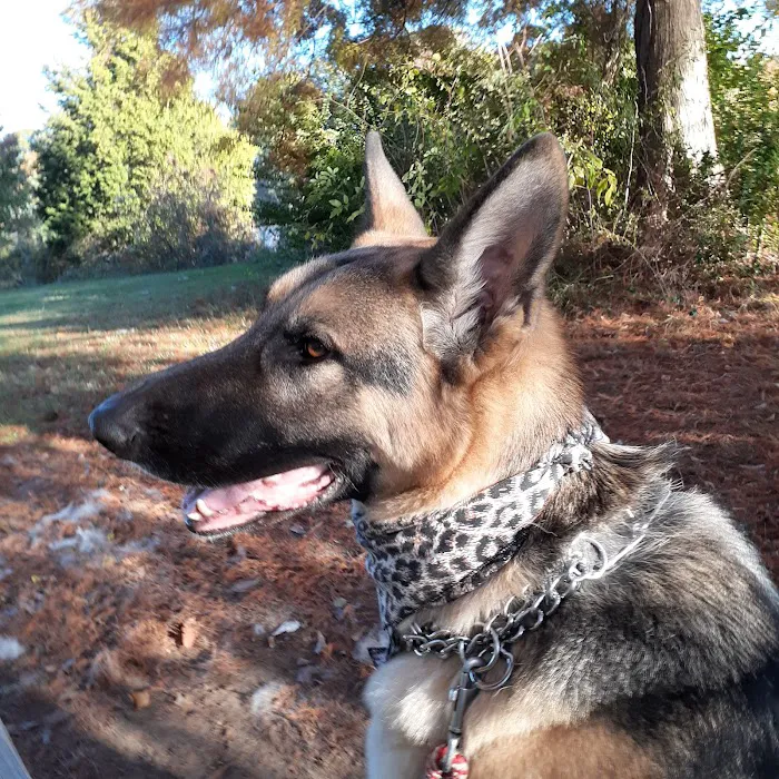 Southaven Animal Hospital 8