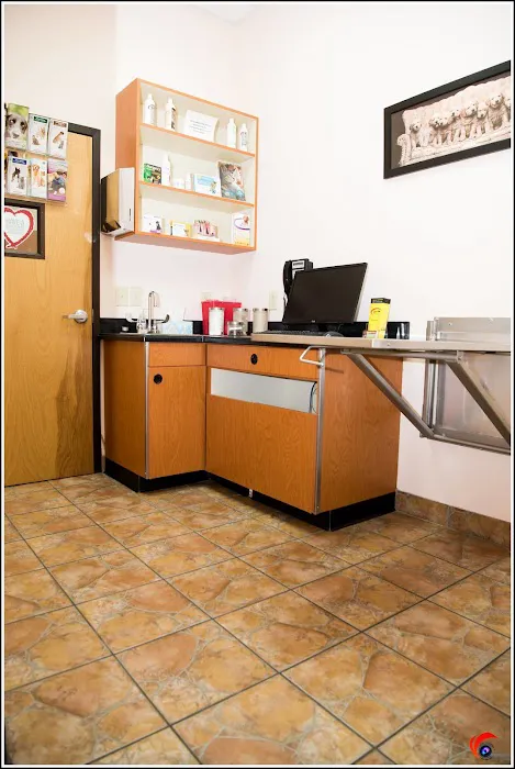 Windermere Animal Hospital (Veterinarian Cumming) 8