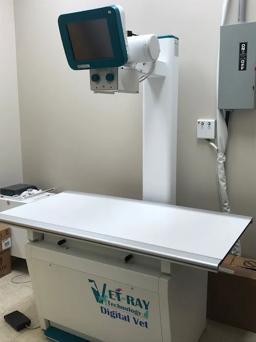 Laurel Springs Animal Hospital 1