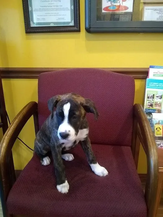 Friendship Springs Veterinary Care 12