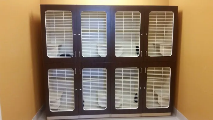 Atlanta Animal Hospital 5