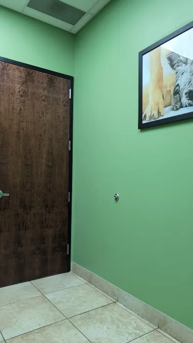 Atlanta Animal Hospital 2
