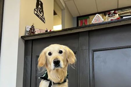 Just Pets Veterinary Hospital
