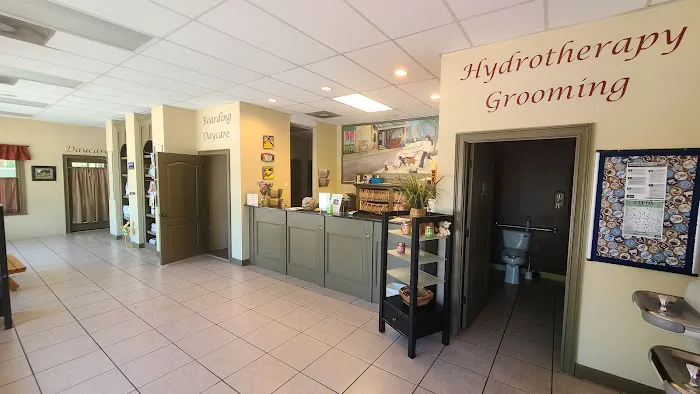 Just Pets Veterinary Hospital 8