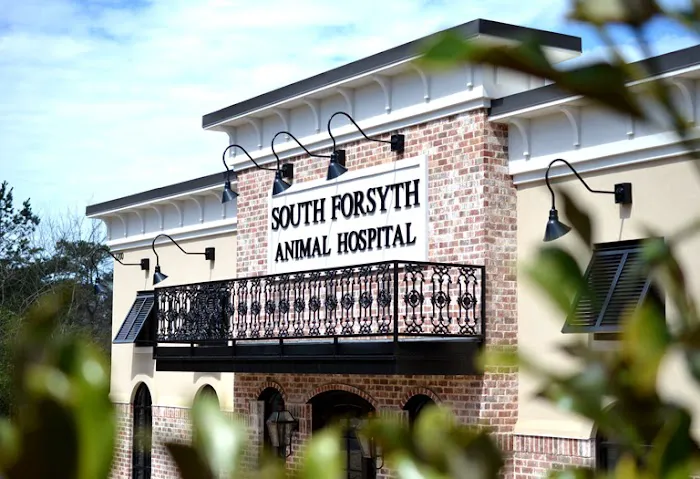 South Forsyth Animal Hospital 12
