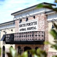 South Forsyth Animal Hospital ico