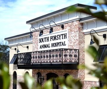 South Forsyth Animal Hospital