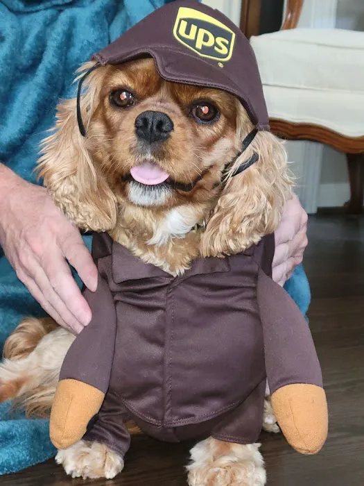 South Forsyth Animal Hospital 12