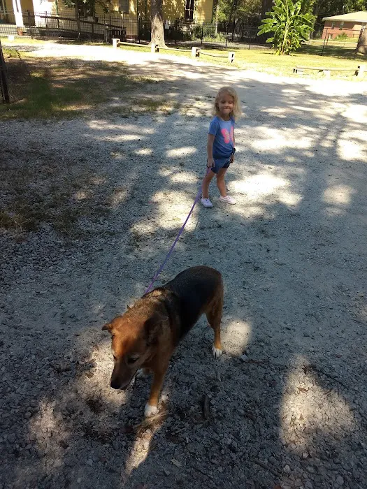 Saugahatchee Animal Hospital 5