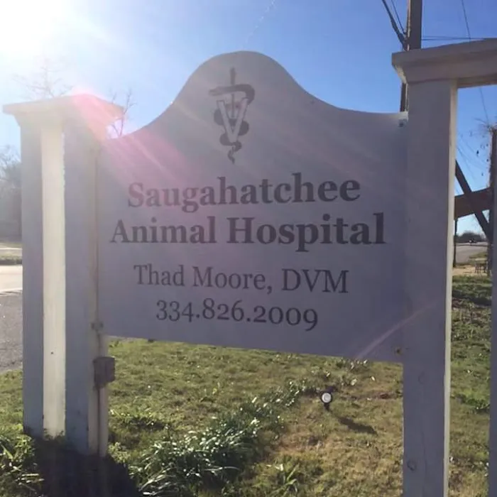Saugahatchee Animal Hospital 7