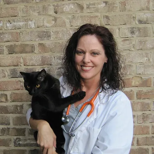 Better Life Veterinary Llc 7