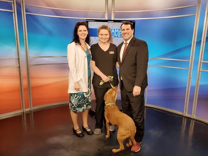 Better Life Veterinary Llc 4