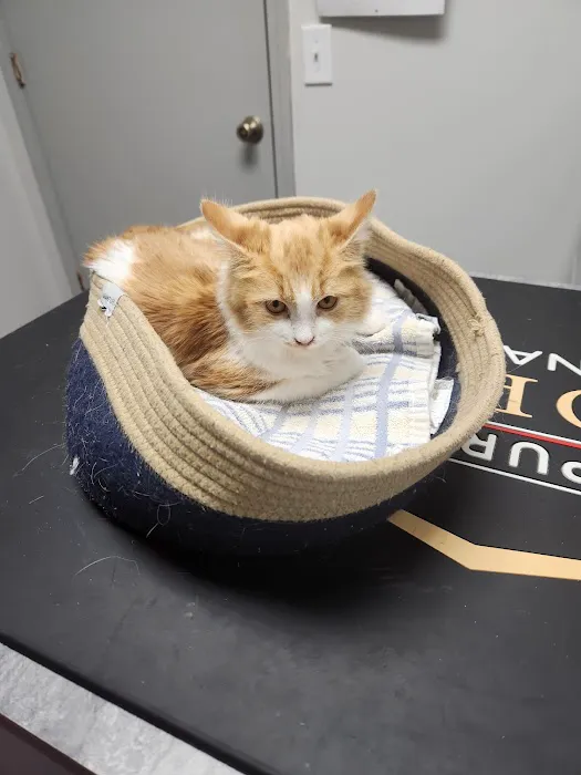 Camellia Veterinary Hospital, LLC 4