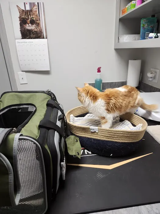 Camellia Veterinary Hospital, LLC 2