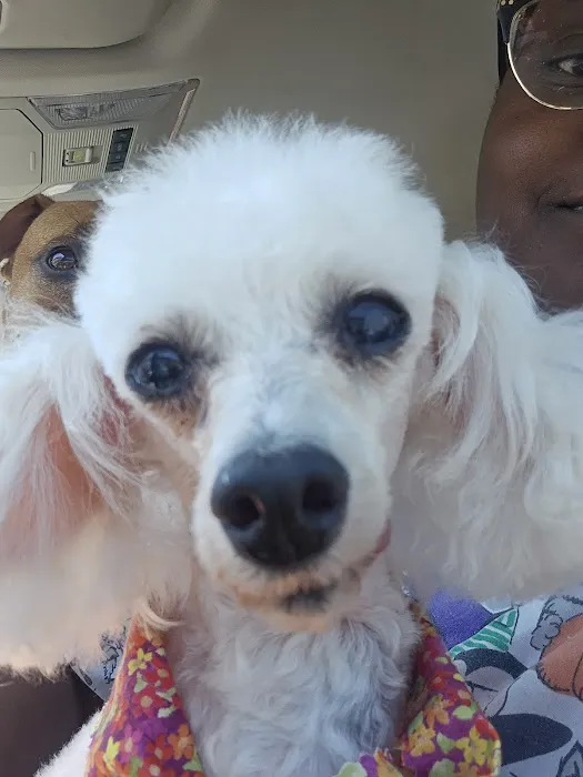 Willis Animal Clinic 5