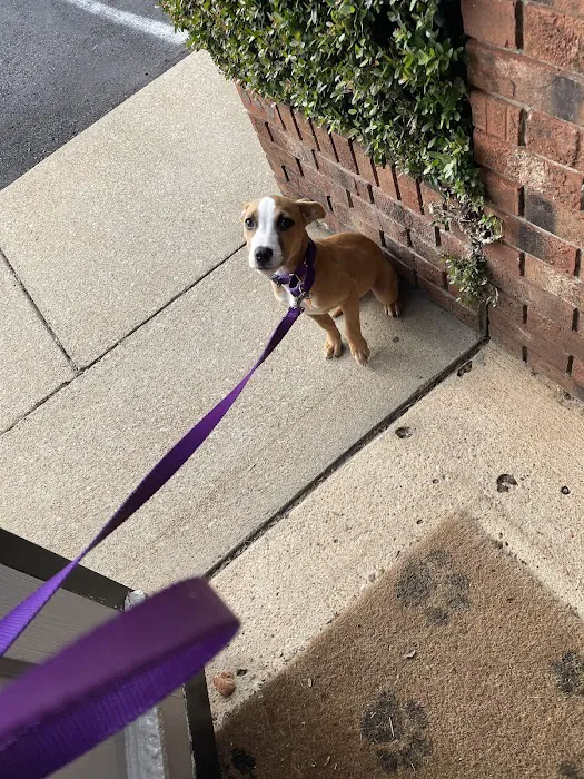 Willis Animal Clinic 9