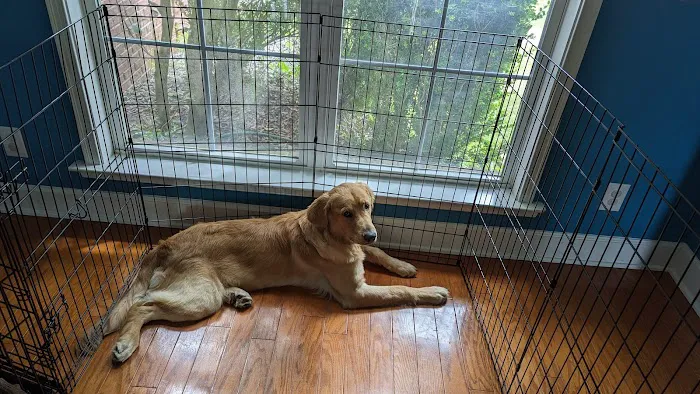 Willis Animal Clinic 2