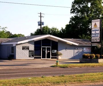 Animal Hospital of Montgomery
