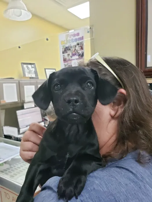 Phillips Dunn Animal Hospital 7
