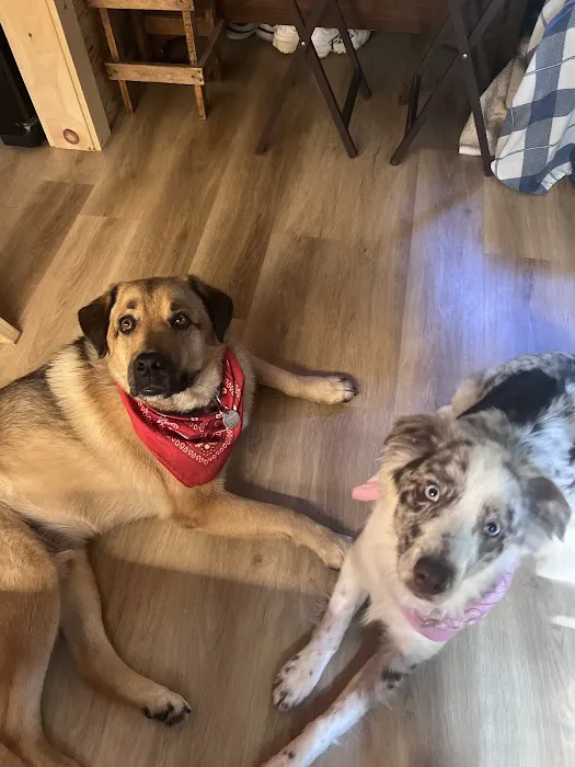 Alabama Animal Alliance 9