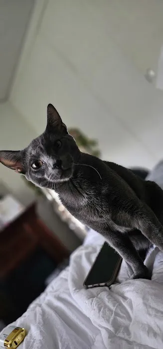 Alabama Animal Alliance 8