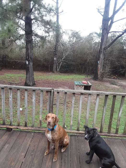 Alabama Animal Alliance 6
