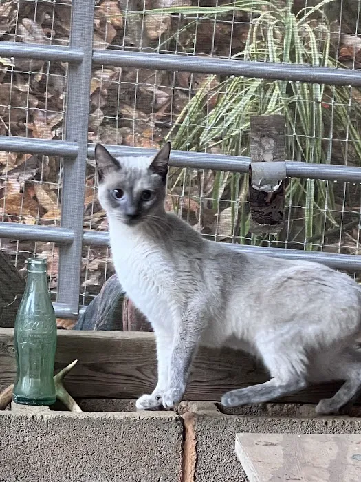 Alabama Animal Alliance 7