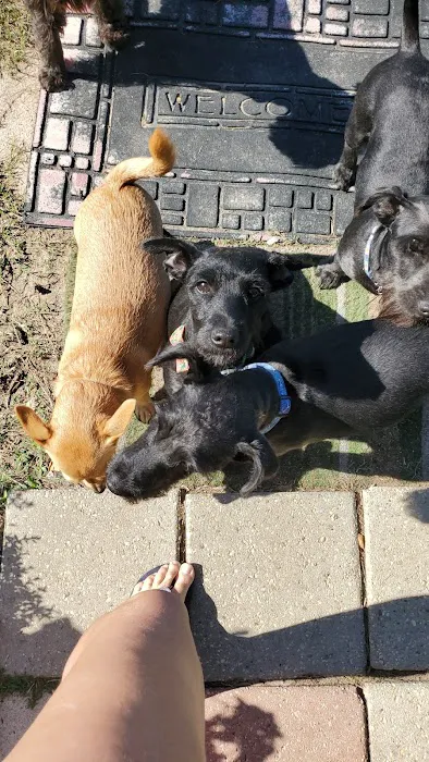 Alabama Animal Alliance 4