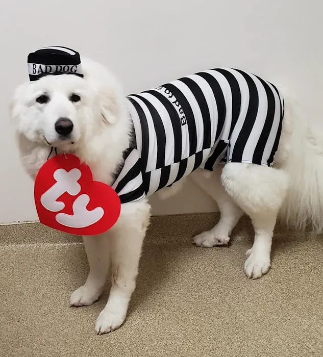 East Montgomery Animal Hospital 8