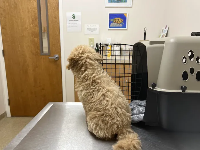East Montgomery Animal Hospital 4