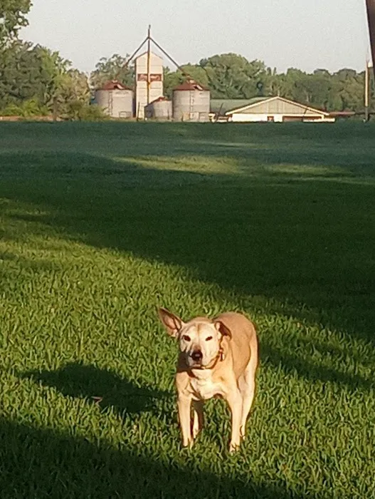Banfield Pet Hospital 12