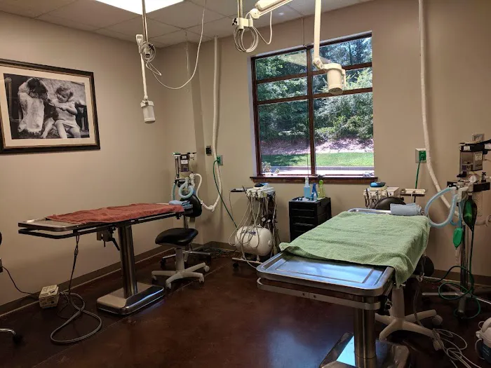 Veterinary Healthcare Associates 12