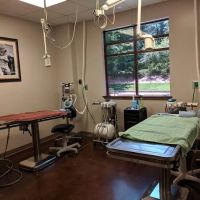 Veterinary Healthcare Associates ico