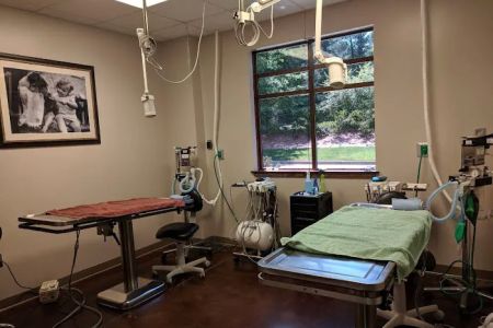 Veterinary Healthcare Associates