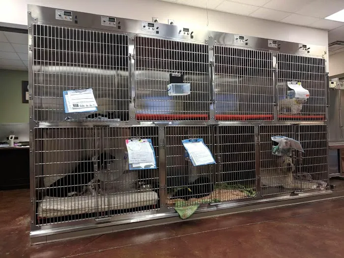 Veterinary Healthcare Associates 12