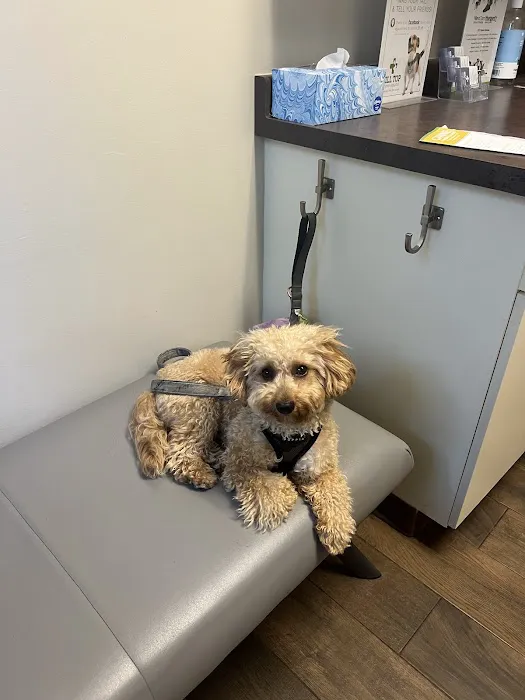 Hill Top Animal Hospital 12