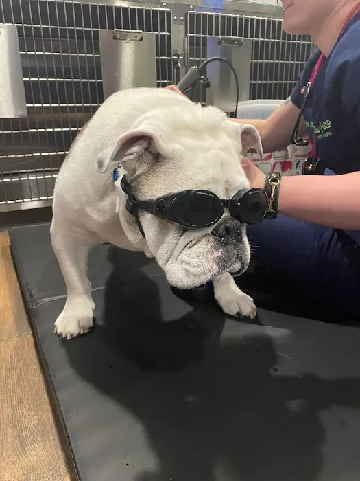 Hill Top Animal Hospital 12
