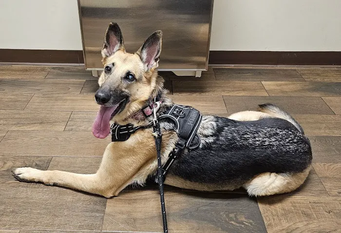 Hill Top Animal Hospital 12