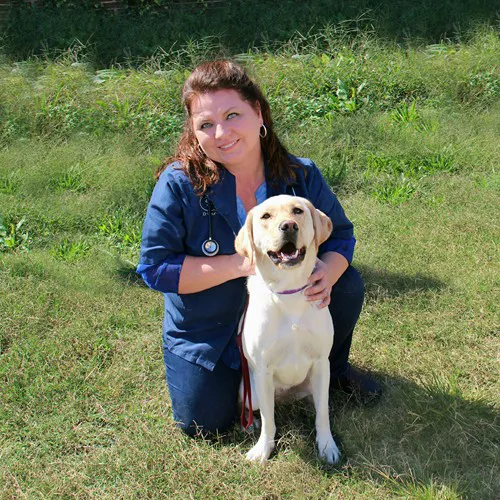 Walton Way Veterinary Clinic 12