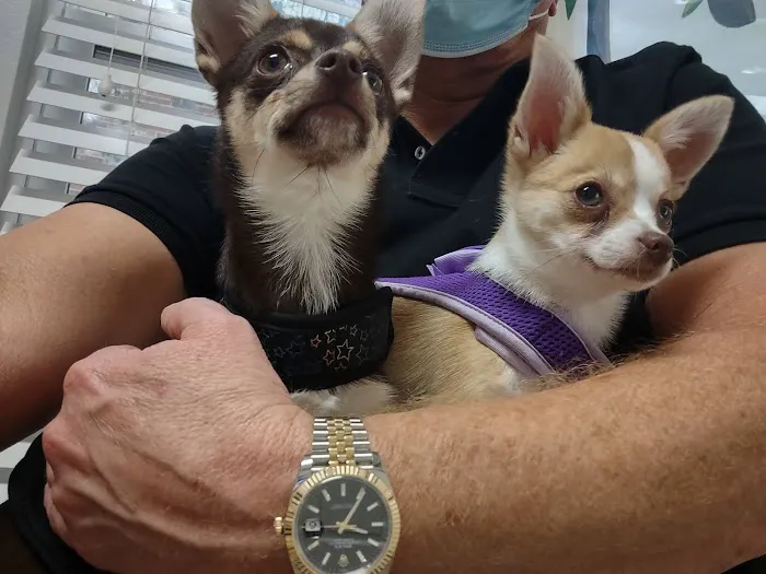 Hammond Hills Animal Hospital 3