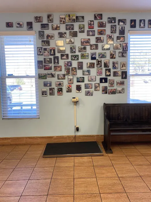 Hammond Hills Animal Hospital 6