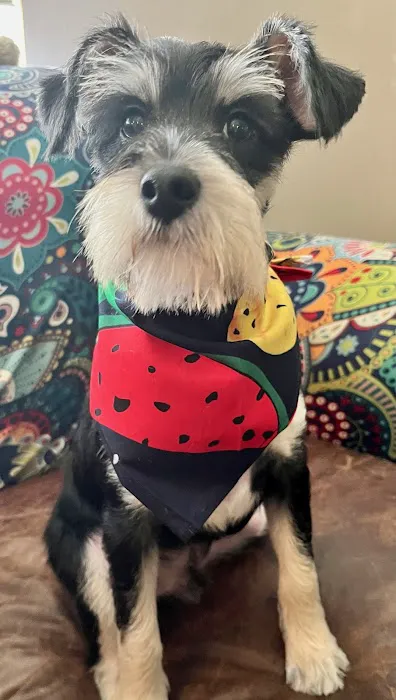 Hammond Hills Animal Hospital 9