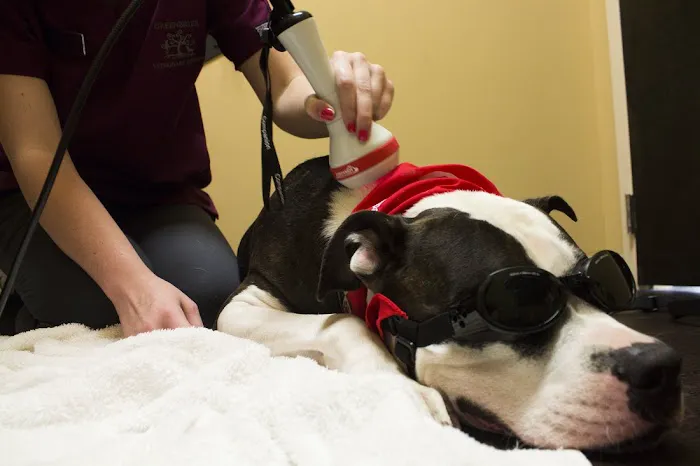 Greenbrier Veterinary Services 7