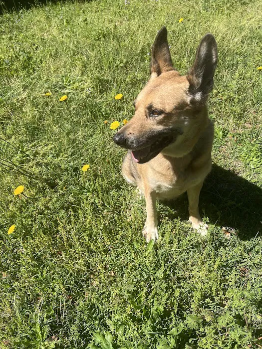 Best Friends Animal Care 10